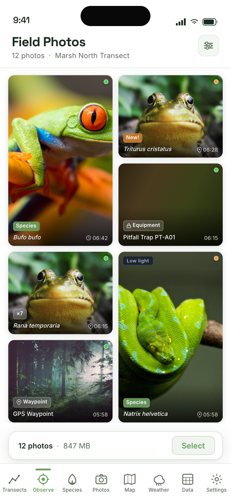 Field photo gallery with species tags and GPS data